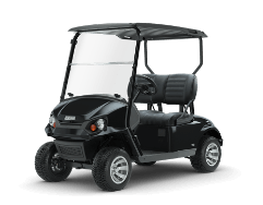 2 Passenger golf carts for sale in Sun City Center & Tampa, FL
